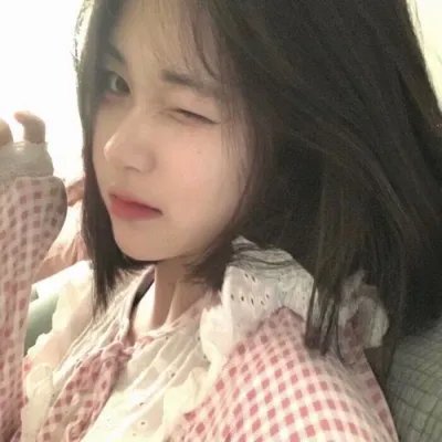 少女情怀尽是诗